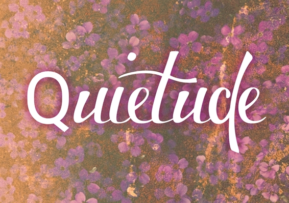 Fanfic / Fanfiction Violetas Na Janela - Quietude