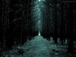 Fanfic / Fanfiction A noite tem seus segredos - A floresta dos pesadelos part 2