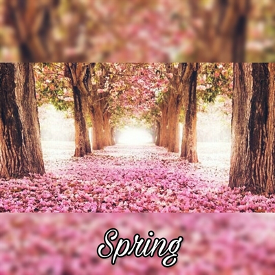 Fanfic / Fanfiction Spring - Noite de primavera.