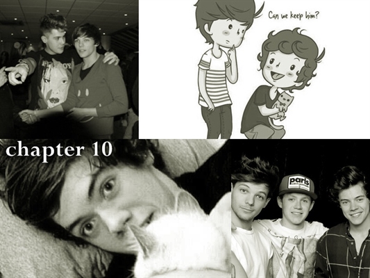 Fanfic / Fanfiction Heaven Knows (Larry Stylinson) - CONCLUÍDA! - Why there is a cat in my bedroom?