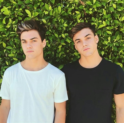 Fanfic / Fanfiction The Summer Camp - The Twins