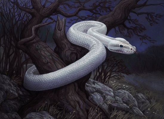 Fanfic / Fanfiction Yokai ayakashi - No ninho da serpente