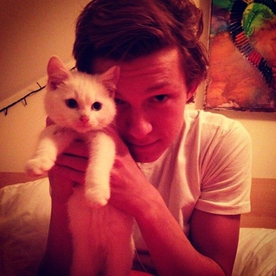 Fanfic / Fanfiction You Should Know - Capítulo 4- Harrison, the cat?