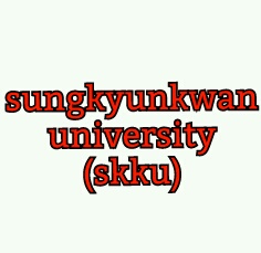 Fanfic / Fanfiction Amor na universidade - Sobre sungkyunkwan