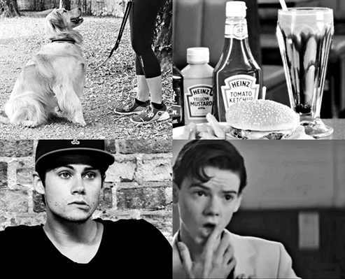 Fanfic / Fanfiction Dark Paradise (Newtmas) - My mind is a hurricane, but you're my calm.