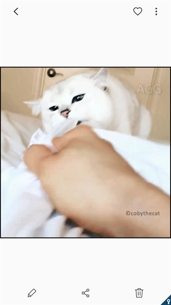 Fanfic / Fanfiction ♡Eu uma gatinha♡(imagine jimin) - ♡Eu te Desculpo♡