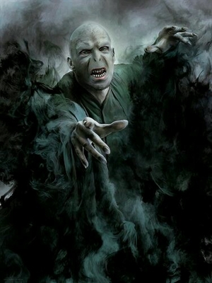 Fanfic / Fanfiction Harry e Tom Potter - Uma nova história - A história de Voldemort