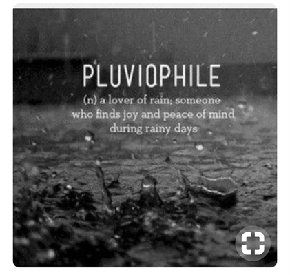Fanfic / Fanfiction I Hate You I Love You - Jily ©® - PLUVIOPHILE[©®]