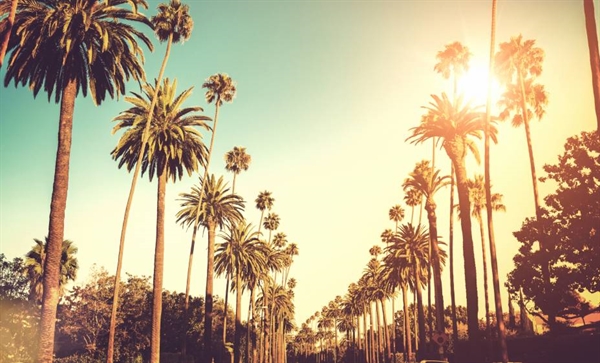 Fanfic / Fanfiction It will be love? - Welcome to Los Angeles