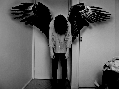 Fanfic / Fanfiction Moon and Scaredy - Depression - - Night wings