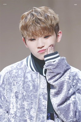 Fanfic / Fanfiction Seventeen (imagine) - ♥Woozi♥