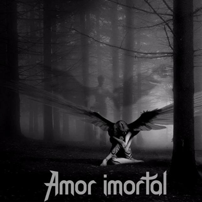 Fanfic / Fanfiction Amor imortal - Encontro na morte