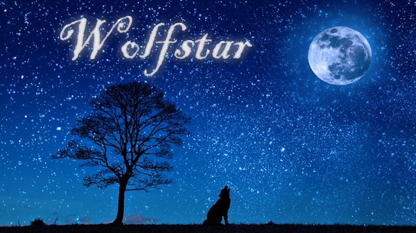 Fanfic / Fanfiction Wolfstar - Sirius e Remo - Capítulo Único