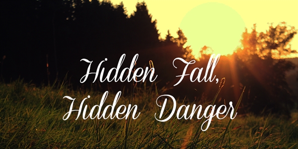 Fanfic / Fanfiction Lust for life - Hidden Fall, Hidden Danger