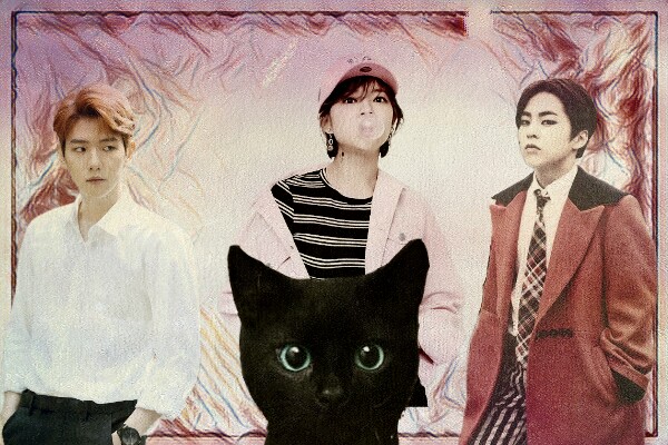 Fanfic / Fanfiction Me,You,A Cat And A Ghost. - (03)