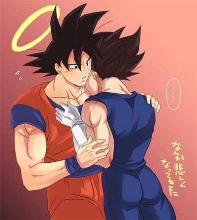 Fanfic / Fanfiction Keep Calm and love Goku e Vegeta - Casa