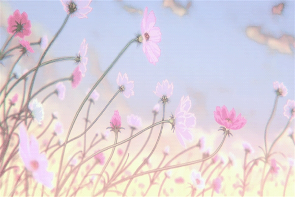Fanfic / Fanfiction Paper Flowers - Taekook - Chapter Twelve