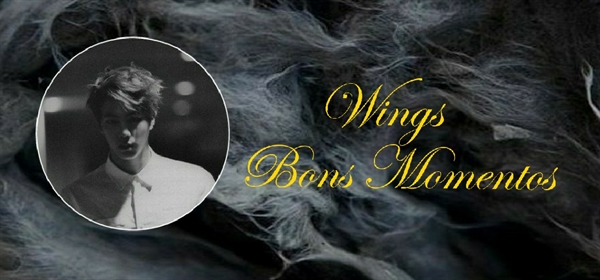 Fanfic / Fanfiction Wings - Bons Momentos