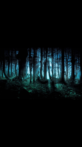 Fanfic / Fanfiction O bosque - Noite escura