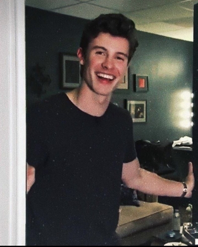Fanfic / Fanfiction Unexpected Love - Shawn Mendes - A new life