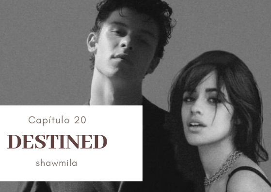 Fanfic / Fanfiction Destined 'Shawmila' - Capítulo 20