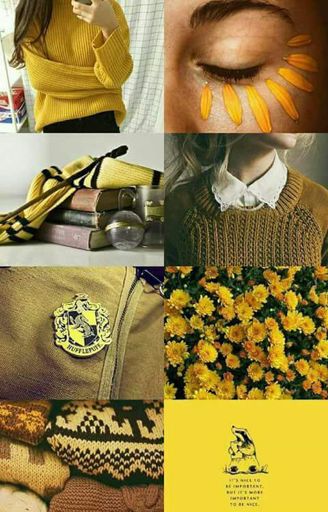 Fanfic / Fanfiction Lilly Evans e os Marotos em O Legado de Ravenclaw - A sabedoria de uma Lufana