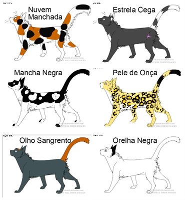 História Gatos guerreiros : O começo - A mensagem do clã das estrelas -  História escrita por honeymoonw - Spirit Fanfics e Histórias