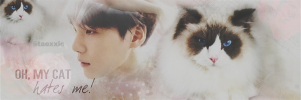 Fanfic / Fanfiction Oh, my cat hate me! - Min Yoongi - XI. Atum ao Rum.