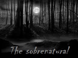 Fanfic / Fanfiction Wolves - Larry Stylinson - The Sobrenatural