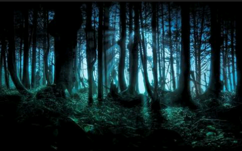 Fanfic / Fanfiction Densetsu no Yõkai - Primeira vez na floresta dos monstros