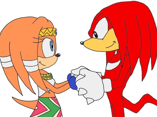 História Sonic:EXE - A Entidade Do Mal - Parte 1:A Sexta Vítima