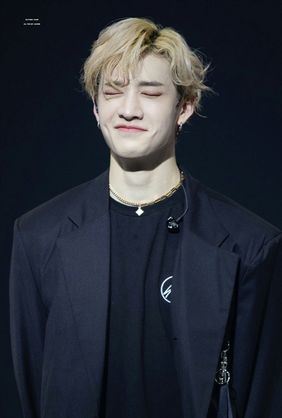 Fanfic / Fanfiction Would you be my passion- Bang Chan (Em revisão) - 010