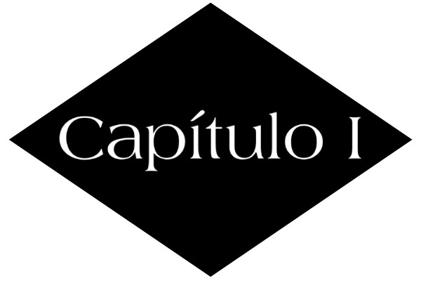 Aquele estúpido casamento arranjado — Capítulo 1 — capítulo 1