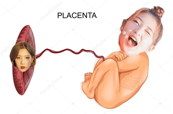 Fanfic / Fanfiction Taxistas - Loona - Kim Lip a placenta