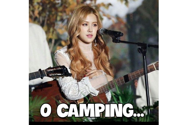 Fanfic / Fanfiction Big Brother dos K-idols - O Camping...