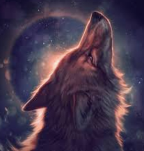 Fanfic / Fanfiction O lobo por qual eu me apaixonei(jikook) - A reconciliação