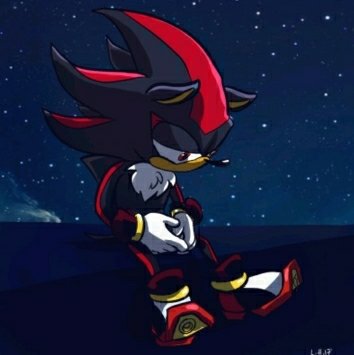 Perfil shadow the hedgehog