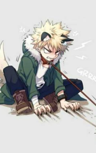 Fanfic / Fanfiction Meus 3 Nekos (Imagine BNHA) - Paciência