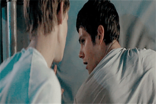 Fanfic / Fanfiction NEWTMAS:From Beginning to the End - End of the line