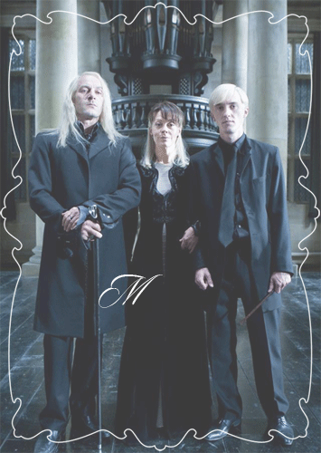 Fanfic / Fanfiction Draco e Hermione - a história que deveria ser contada - Reencontro. Ele mudou.
