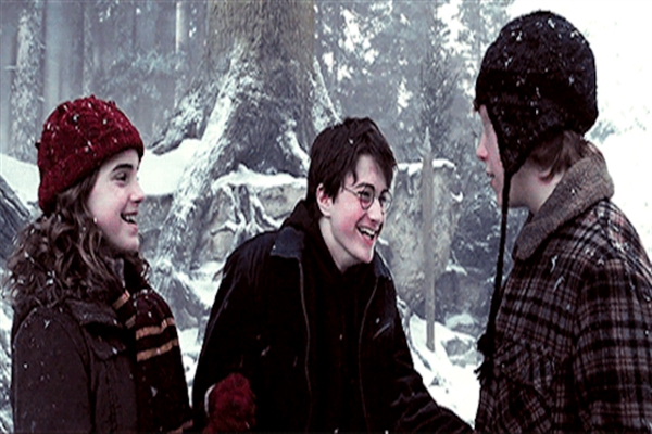 História As gêmeas de Hogwarts - Harry Potter (Hiatus) - Xadrez Bruxo -  História escrita por JSommer - Spirit Fanfics e Histórias