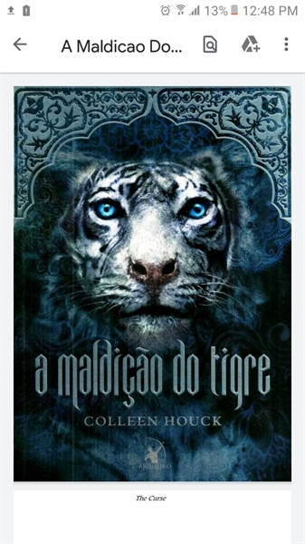 Fanfic / Fanfiction Meus Rabiscos - O tigre