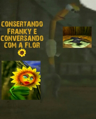 Fanfic / Fanfiction Diário de conker - Consertando Franky e conversando com a flor