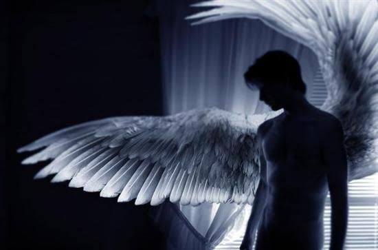 Penas e papeis: o Anjo Apaixonado