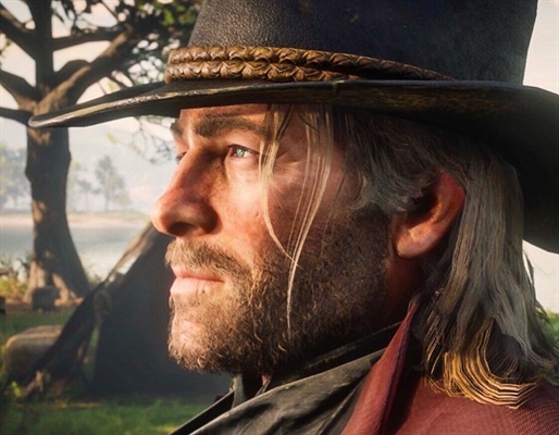 Quando Arthur Morgan precisou desabafar, com uma pessoa sábia! #readde