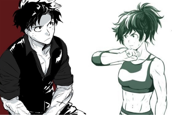 História Izuku Midoriya - O Deus Do Trovão! - Capítulo 2 - Origem Elétrica!  PT 2 - História escrita por HeyTodoki32 - Spirit Fanfics e Histórias