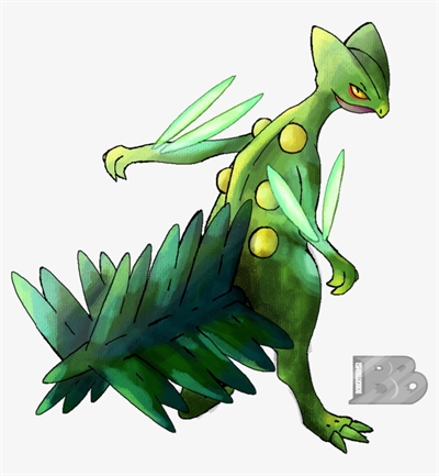 Pokémon Emerald Zerando apenas com Pokémon tipo Inseto - Parte 1