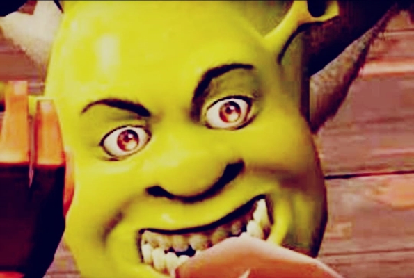 Meme do shrek fazendo careta