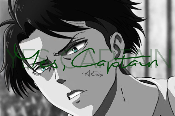 Fanfic / Fanfiction YES, CAPTAIN - Levi Ackerman's Fanfic - Capítulo XVI