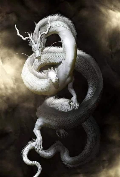 Fanfic / Fanfiction Cavaleiros do zodíaco- Universo caotico - O dragão branco que domina o céu! Tenkai!